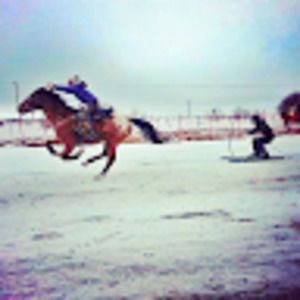 Meet your Posher, Whitni